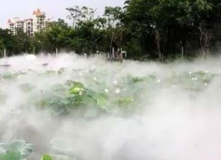 甘肃平凉人造雾与庆阳人工冷雾系统 造景与降温的科技之选